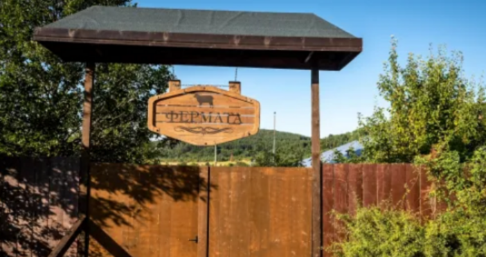 Нещо се случва в bTV – телевизията изненадващо е взела