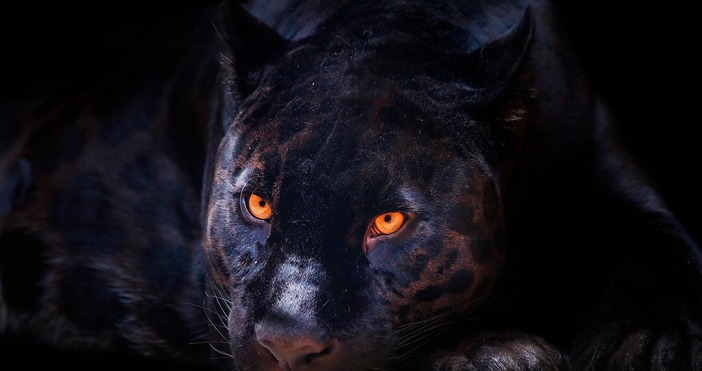 Фестивалът Зелени слънца посветен на Еньовден се отменя съобщи Ирина