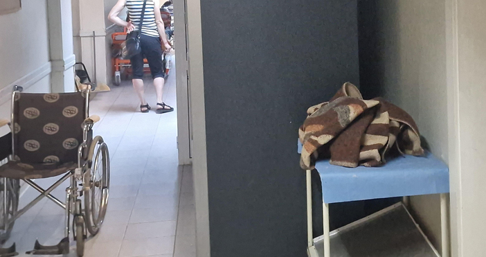 Дървеници в Центъра за спешна помощ във Видин. Насекомите нахапали