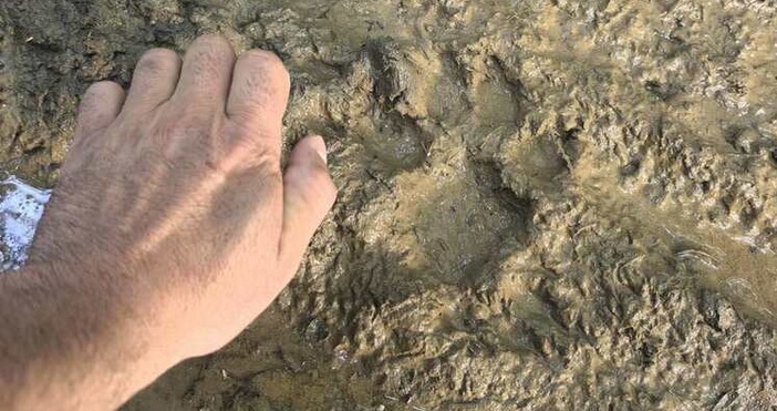 Продължава издирването на избягалия хищник в Шуменското плато С подобна