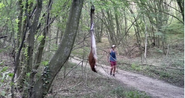 Тази сутрин в района на стеснения периметъра за работа на