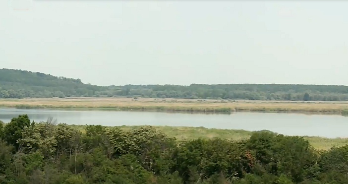 Кадри БНТНиското ниво на водата в езерото на резервата Сребърна
