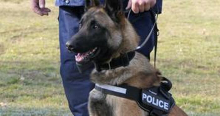 Полицията в Смолян издирва 83 годишния Расим Салихов Бозов от село Елховец