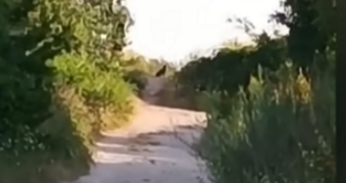 При всички положения трябва да се спазват мерките за безопасност