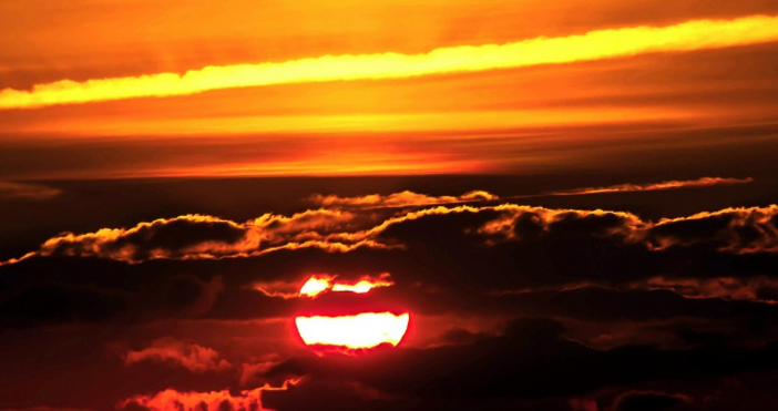 През последните дни в онлайн пространството се разпространяват множество сензационни