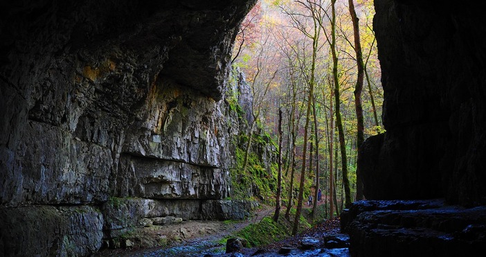 Само две следи от леопарда който броди из Шуменското плато