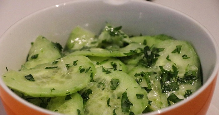 Краставици третирани с опасни инсектициди и изхвърлени на сметище в