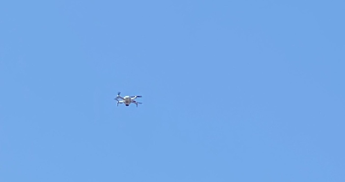 Петел бг илюстративнаГотови са резултатите от първото тестово заснемане на плаж