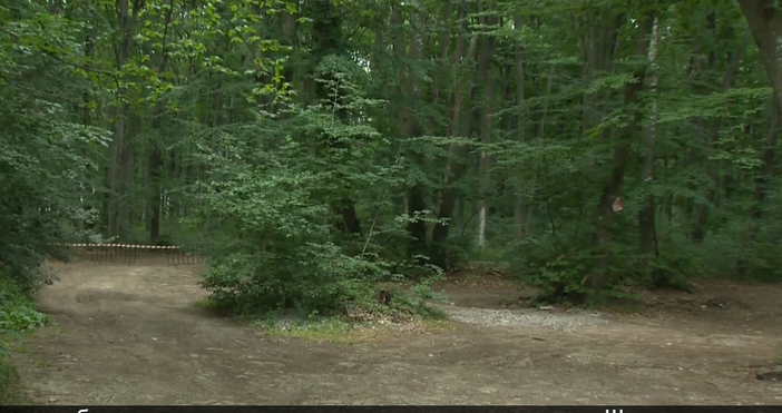 кадри БНТЗа екзотичните прищявки на богатите или за домашните им