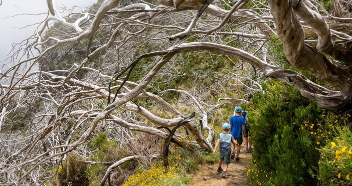 Най ниските минимални температури през юли у нас ще бъдат между