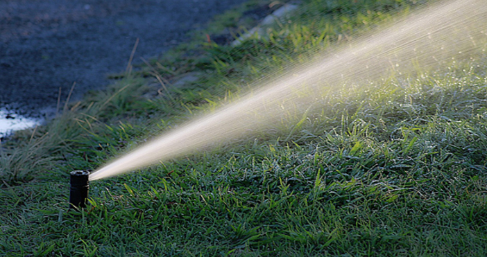 Германия забрани поливането на частни градини с обществена вода заради