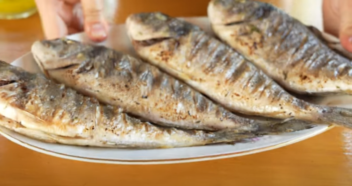 В професионалния риболов няма млади хора все по малко са тези