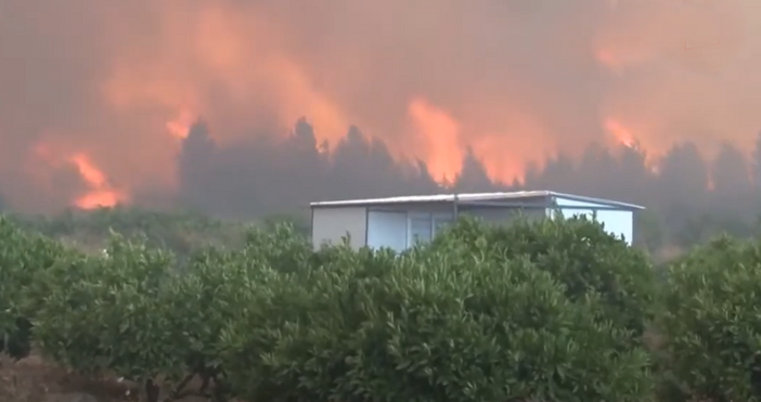 Кадри YoutubeПетдесет хиляди души са евакуирани заради пожарите които бушуват