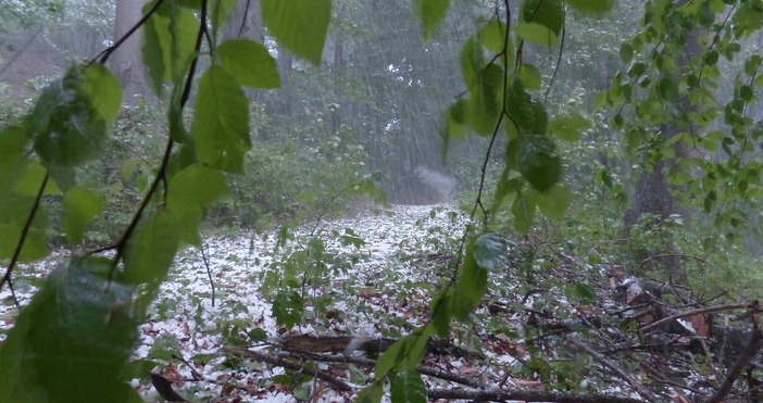 Има вероятност на 8 и 9 юли температурите да надхвърлят