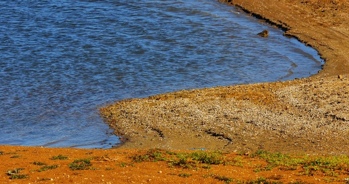 В сградата на Министерство на земеделието бяха проведени срещи с