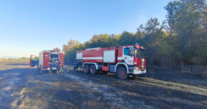 Декари посеви както и сухи треви и храсти изгоряха днес