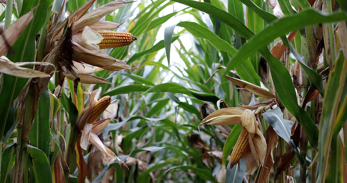 Определен е размерът на ставката за предоставяне на спешна финансова