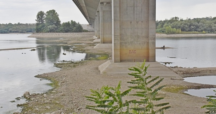 Заради ниското ниво на водата на река Дунав фериботите край