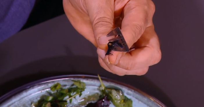 Мая Иванова Кадри Нова ТВИзкуствена мигла в ястието стресира шеф