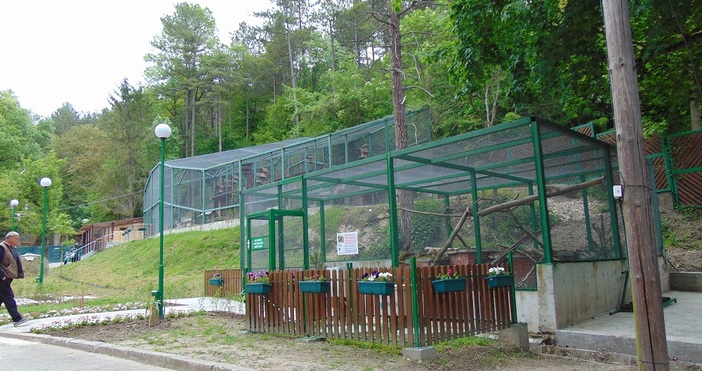 Зоопаркът в Шумен се готви за мащабна трансформация Предвижда се