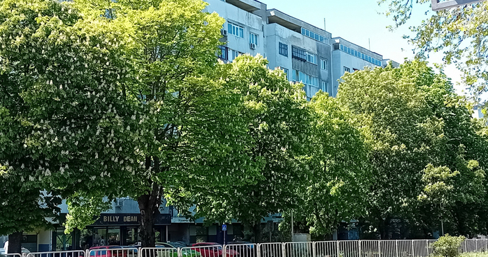 И тази седмица продължава обработката срещу вредители на терени и