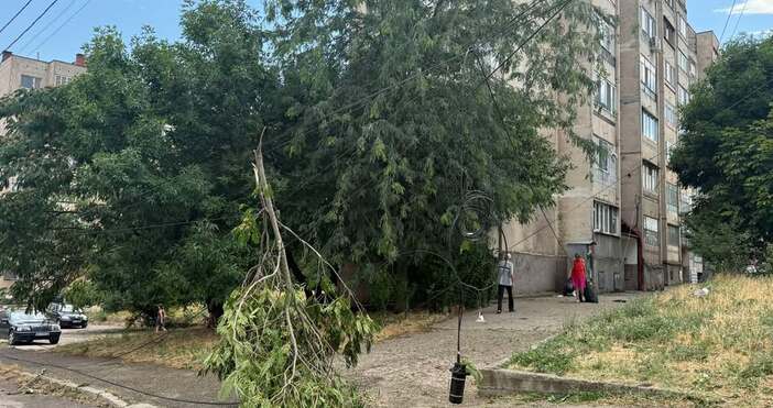 Поривите на вятъра в Лом достигнаха до 70 км ч по