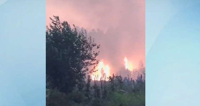 Големият пожар който се разгоря късно снощи край видинските села