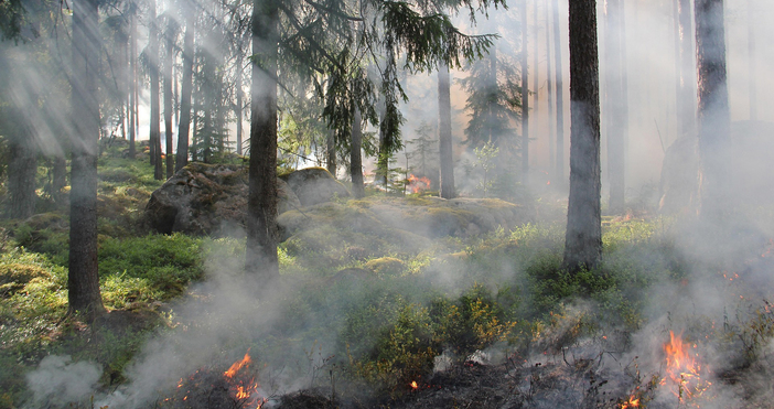 Общо 231 пожара са били потушени в страната през последното