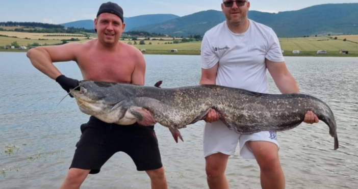 Сом гигант улови рибар в язовир Стойковци край благоевградското село