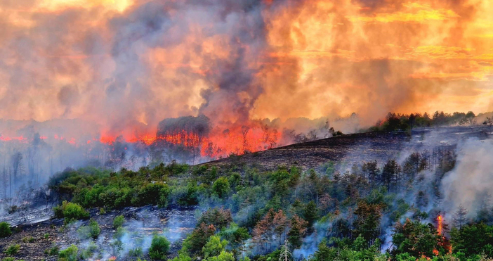 Снимки Фейсбук И ДечевПожарът който вилня на Гарга баир