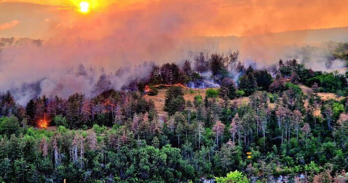 Около 400 500 дка сухи треви и горски масив са засегнати