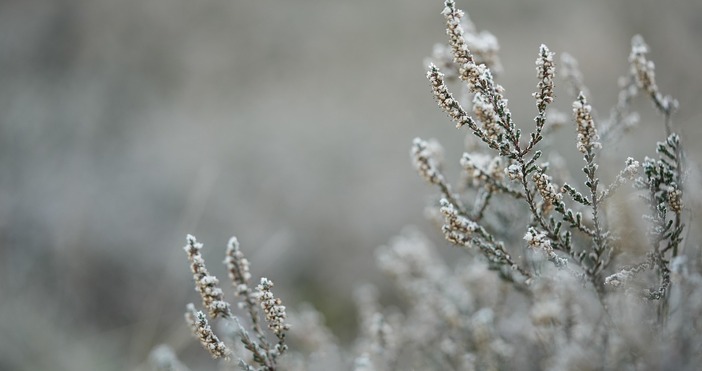 Очакваното понижение на температурите е толкова рязко че няма да