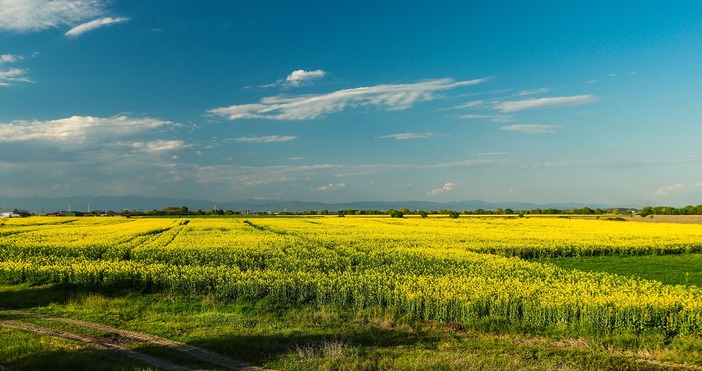 Какво се случва с цените и наемите на земеделската земя