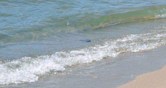 Средиземно море преживя най горещия юни откакто се води статистика с