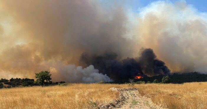 Сериозна пожарна обстановка обхвана голяма част от България – от