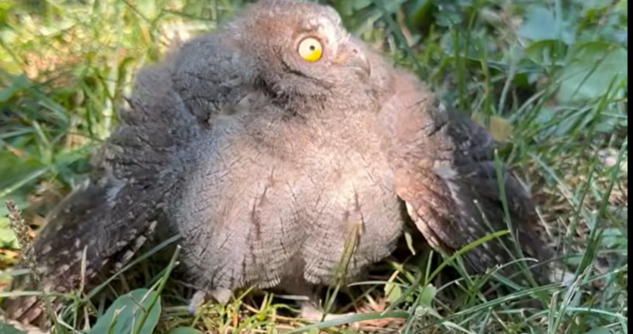 Бебе е намерено в Пловдив Здравейте сега намерихме това бебе в