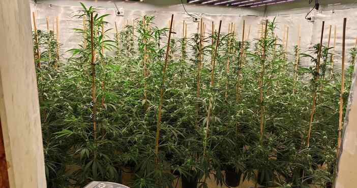 снимки ОДМВР ВарнаДнес 11 юли при проведена специализирана полицейска операция по линия