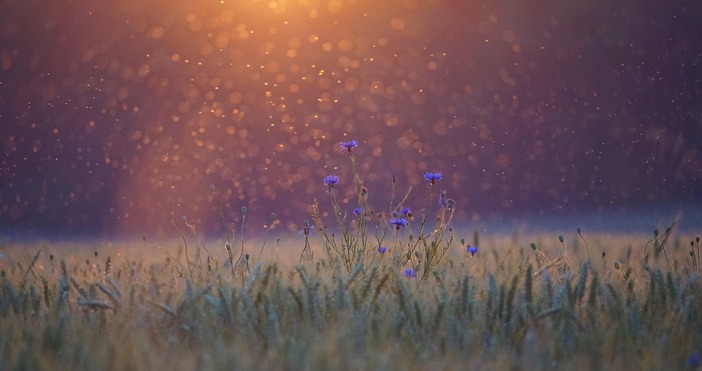 Този уикенд отново се очаква горещо и влажно време А