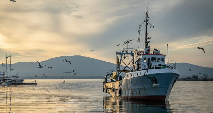 Държавен фонд Земеделие ДФЗ изплати над 1 6 млн лева 1