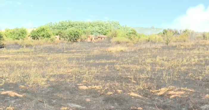 Локализиран е пожарът между Мурсалево и Кочериново който пламна в