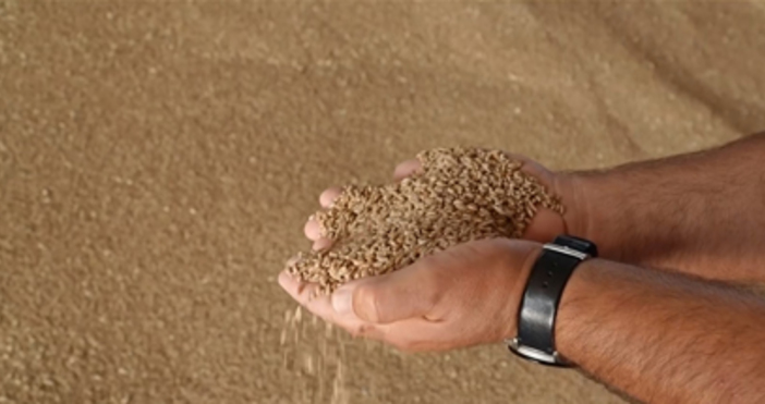 Мая Иванова Кадри Нова ТВС 30 по висока изкупна цена на