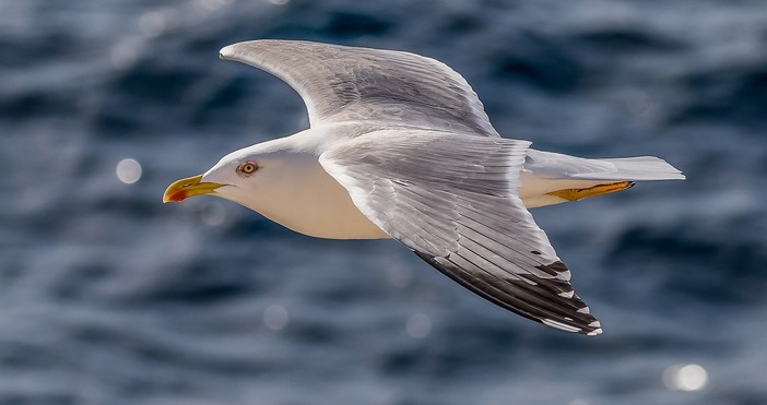 През нощта ще бъде ясно а утре ще бъде слънчево