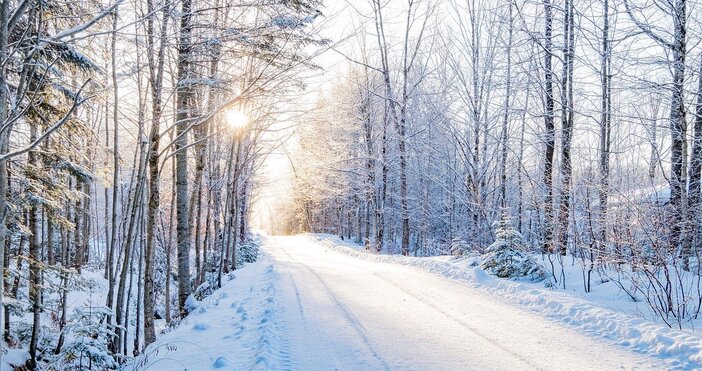 Горите са природният щит срещу климатичните промени – абсорбират въглероден