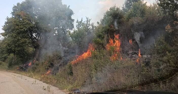 За спешна помощ призовава кметът на община Белоградчик за гасене