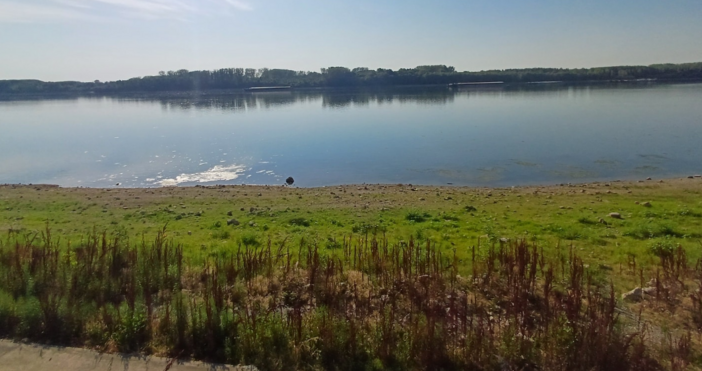 Ниските нива на река Дунав край Видин стават все по плашещи  Сушата