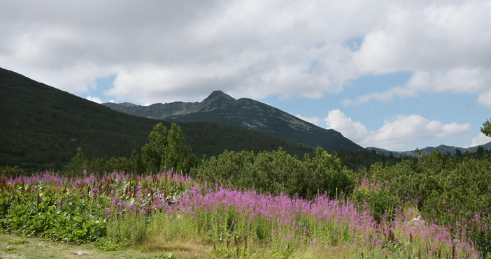 При акция през нощта спасителен екип в Пирин се е