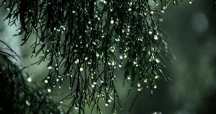 Времето утре ще бъде предимно слънчево с временни увеличения на