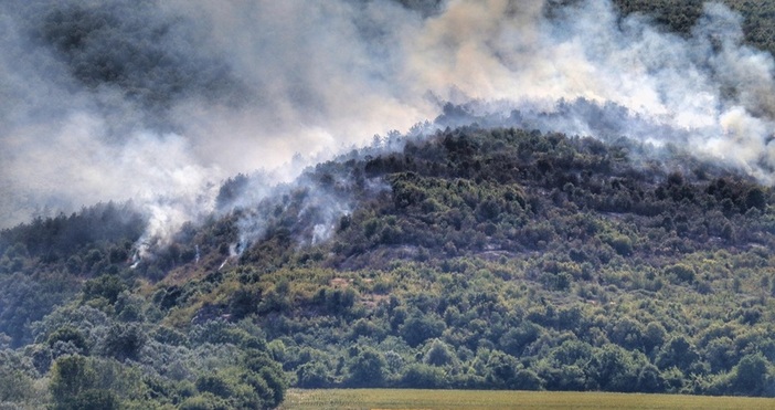 Пожарът в Рила който се разпали в неделя е локализиран