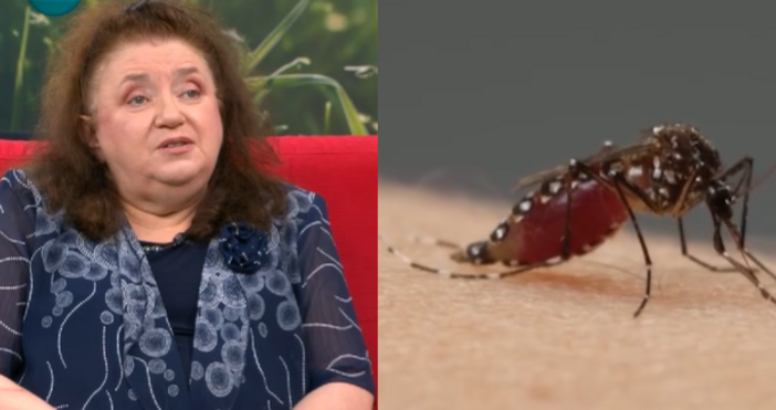 Стопкадър Нова НюзОт началото на годината са регистрирани три случая