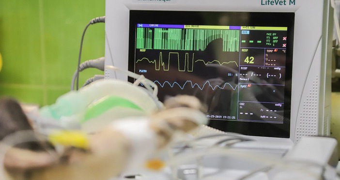 Зрители на bTV сигнализират за съмнения за допуснати грешки в